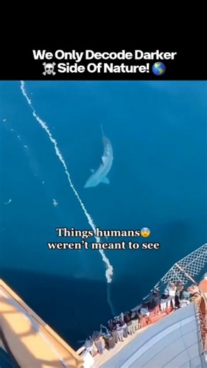 Decoding Worlds – Nature’s Darkest Secrets | 🌍 Things Humans Weren’t Meant To See 😨☠️ Some things aren’t hidden by coincidence. They exist beyond human limits — places, creatures, and... | Instagram