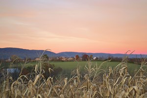 Farm Bill Conservation Programs | Theodore Roosevelt Conservation Partnership