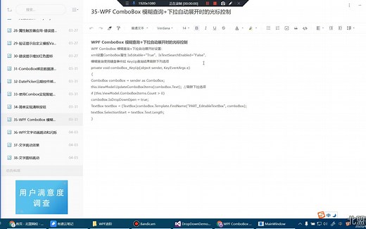 35-WPF ComboBox 模糊查询和下拉自动展开时的光标控制