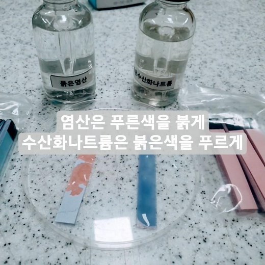 #리트머스시험지 반전! 묽은 염산 & 수산화나트륨 반응! 염산은 푸른색을 붉게, 수산화나트륨은 붉은색을 푸르게 반응