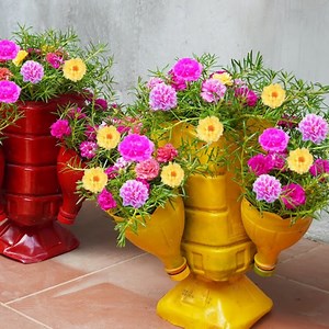 See how you can use plastic bottles to create small garden with flowers | DIY Balcony Garden