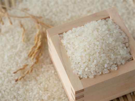 「価格の高騰で新米に手が出せない」年収780万円・38歳男性が選んだ2025年ベストふるさと納税 [マネーtips！お金持ちになるための365日] All About