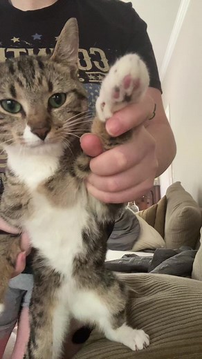 Wait They Don't Love You Like I Love You Dance Trend