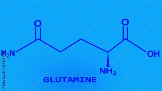 Glutamine Molecular Structure Displayed on tranasparant Backgrounds 4k video
