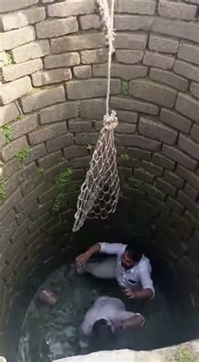 Leopard Roar Panic — Shockwave Sends Whole Team Into Well!