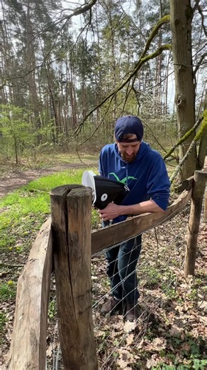 Discover the Fascinating Features of a Large Beetle