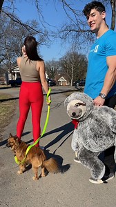 Dog Leash Swap😂 | Jackson's World