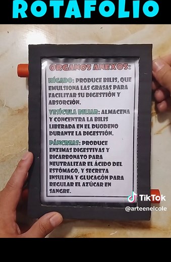 Cómo hacer un Rotafolio Casero: Tutorial Creativo