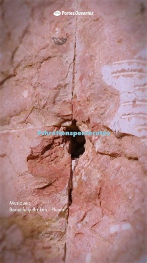 Priez pour les chrétiens au Moyen-Orient #chrétienspersécutés