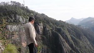 3.6K views · 158 reactions | Pringly on Reels | Facebook