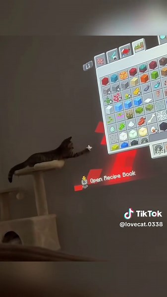 Slippery Cats: Hilarious Cat Memes You Can’t Miss