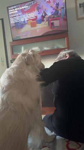 Video di Santen (@santen006) con original sound - iconic films