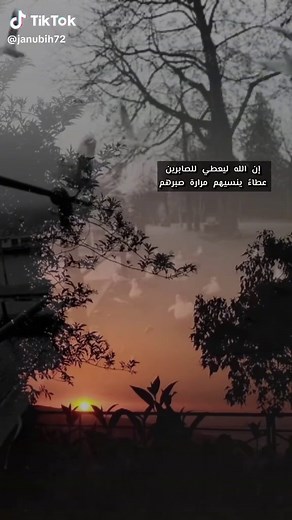 ويالله كم كثرت جراحي - أنشودة حزينة ومؤثرة