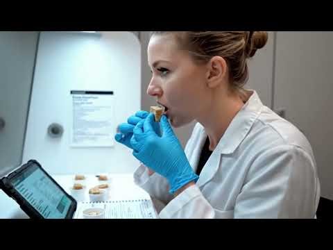 How Bubble Gum Is Made in a Factory | Giant Bubble Gums on Conveyor Belts 🤖🍬