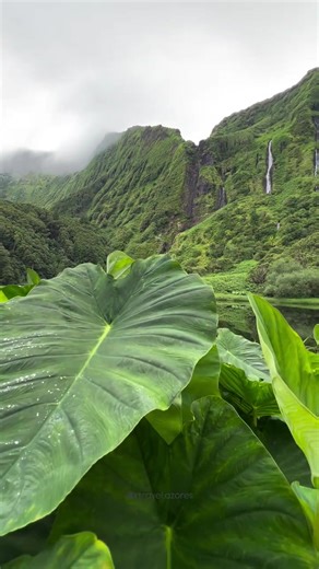 Explore the Untouched Beauty of the Azores Islands