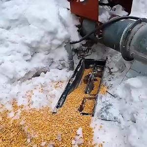 Terribly Cold Weather and Grain Leg Issues | Larson Farms