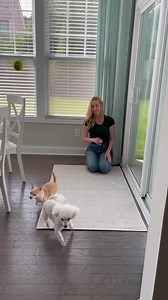 Tumble's spillproof & washable rugs are a dog mom's best friend! ✨ Includes velcro-free, non-slip rug pad ✨ Easy puzzle-piece assembly ✨ Zero BPA, PFAS or "forever chemicals" ✨ Non-porous pad prevents liquid seeps | Tumble