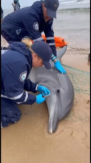 11 reactions | Channel Islands Marine & Wildlife Institute (CIMWI)...