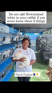 DO NOT ADD NEW ZEALAND WHITE TO YOUR RABBIT IF YOU NEVER KNOW THESE THREE THINGS 1. THEIR FAST GROWTH RATE - New Zealand White rabbits grow very quickly and can reach market size in just a few months. If you don’t plan for enough feed and space, they can overwhelm your setup. 2. THEIR HIGH FEED DEMAND - Because of their rapid growth, they eat more than many other breeds. Without proper feeding, they may not reach their full potential and could suffer health problems. 3. THEIR BREEDING POWER - Ne