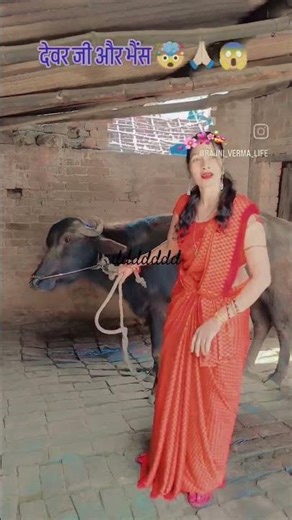 ddddddf funny video short