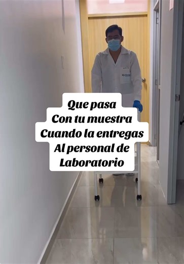 Proceso de análisis en el laboratorio: ¿Qué pasa con tu muestra?