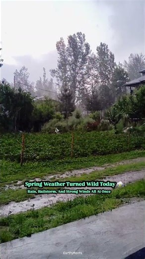 Spring Weather Turned Wild ⛈️🌧️ | Sudden Rain & Hailstorm #rainsounds #nature