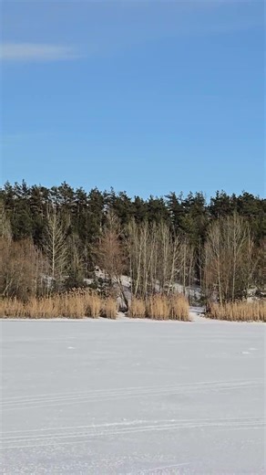 Март на реке Северский Донец в Белгороде. March on the Seversky Donets River in Belgorod.