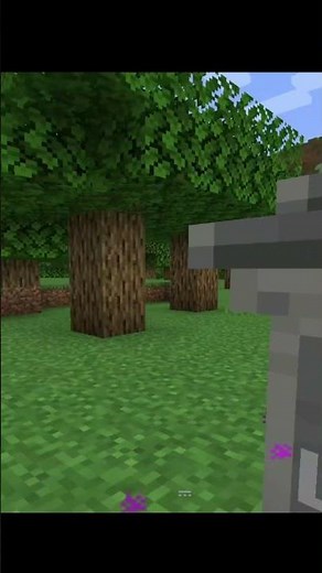 Minecraft experts reveal the BEST MODs for 2025!
