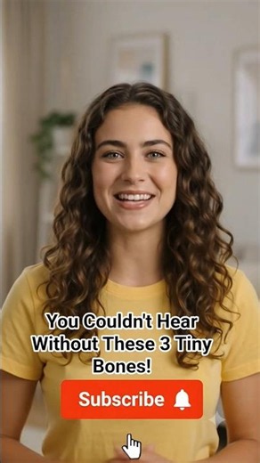 The Smallest Bone in Your Body Is Tinier Than a Rice Grain! 👂😱