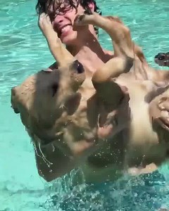 I love Shawn Mendes. I love dogs. I love this video. ❤️ | iHeartRadio