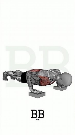 Elevated Pushup (CHEST): Perfect for Beginners or Advanced! 💪