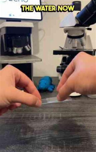 LifeStraw home review, does it truly work for your water?