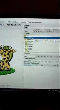 Criar pastas dentro do pendrive no programa Embird