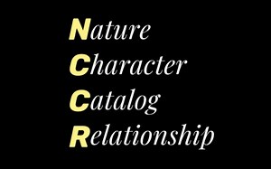 【NCCR法则】考研答题框架（本质-特点-类别-关联），干货满满！