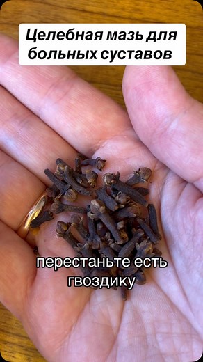 Cristina Safonova on Reels