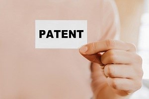 Comprehensive Patentability Search Services