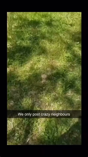 Crazy Neighbors on Instagram: "Ever had that one neighbor who’s just a little too extra? 😅 From loud parties to bizarre pranks, these wild moments make life way more interesting! 🤪 Tag your neighbor and let them know they’re part of the chaos. 😂 #CrazyNeighbors #NeighborhoodDrama #NeighborGoals #LifeWithNeighbors #EpicNeighbors #FunnyNeighbors #LOL #ViralMoments #UnbelievableNeighbors #GoodTimes #NeighborsBeLike #ComedyGold #ReelLife #Instagood #ViralReels #neighborsfromhell"