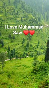 Beautiful scenery❤ | Kashmir Valley