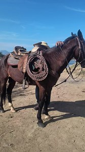 701K views · 10K reactions | Puro tierra caliente ✨ #Guerrero | Embarcadero San Cristóbal | Facebook