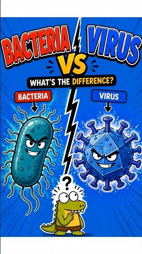 Bacteria vs Virus (They're NOT the Same!)