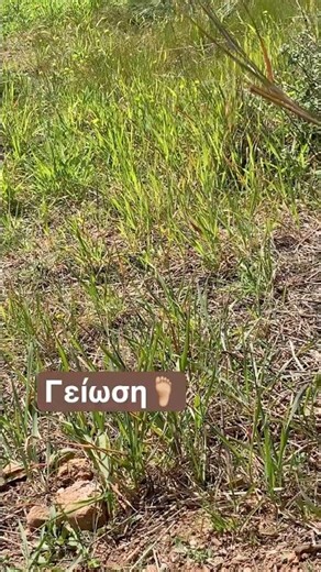 Γείωση ανθρώπινου σώματος 🦶🏼