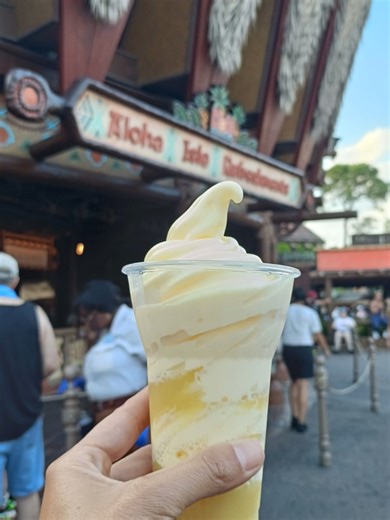 Day 1 of 2 at Magic Kingdom Disney World. Rides and Happily Ever After Full vlog over on my YouTube Channel. Check it out for tips and must do's. Plus see all the food we ate and rides we went on using lightning lane multi pass. Head to www.youtube.com/@aussielifewithjosie Don't forget to subscribe to my channel. #disneyworld #disney #disneyparks #orlando #magickingdom