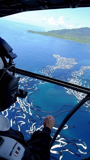 Discover the Secret Island of Anacondas