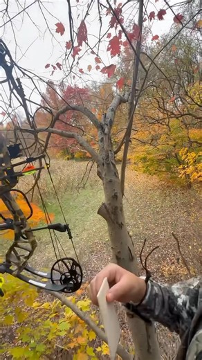 353K views · 4.1K reactions | Utilizing the Scent Thief wafer to break down the deers ability to smell. | Growing Up Outthere TV | Facebook