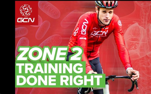 【gcn字幕】怎样正确进行二区训练