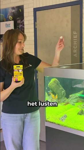 Voorkom hongerige vissen als je lang van huis bent! 🍮🐟