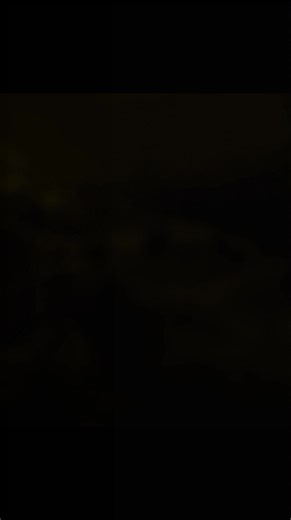 Melon barb available #asaquariumfishshop #akashregmi #melonbarb | A.S Aquarium fish shop