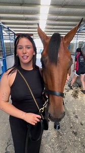 43K views · 403 reactions | Grace Munro has purchased lot 172, a beautiful Skyvalley filly out of Mangonique. This Vicbred Pure filly is from the family of Maori Time and Maori Law and is eligible for a $12,000 first win bonus as a 2YO, 3YO or 4YO. | Harness Racing Victoria | Facebook