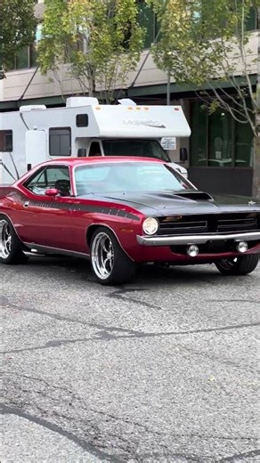 Plymouth Cuda Muscle Car Pure V8 Power 💪 🔥 #plymouth #cuda #shorts #shortvideo