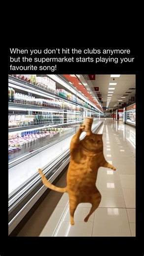 MEMES on Instagram: "😂 A supermarket is a large store where people buy food and everyday household items. It’s organized into sections so it’s easy to find what you need — like fruits and vegetables, meat, dairy, frozen foods, snacks, drinks, cleaning supplies, and toiletries. Customers walk around with a cart or basket, pick out what they want, then pay for everything at the checkout counter or self-checkout before leaving. Supermarkets are designed to give shoppers a lot of choices in one pla